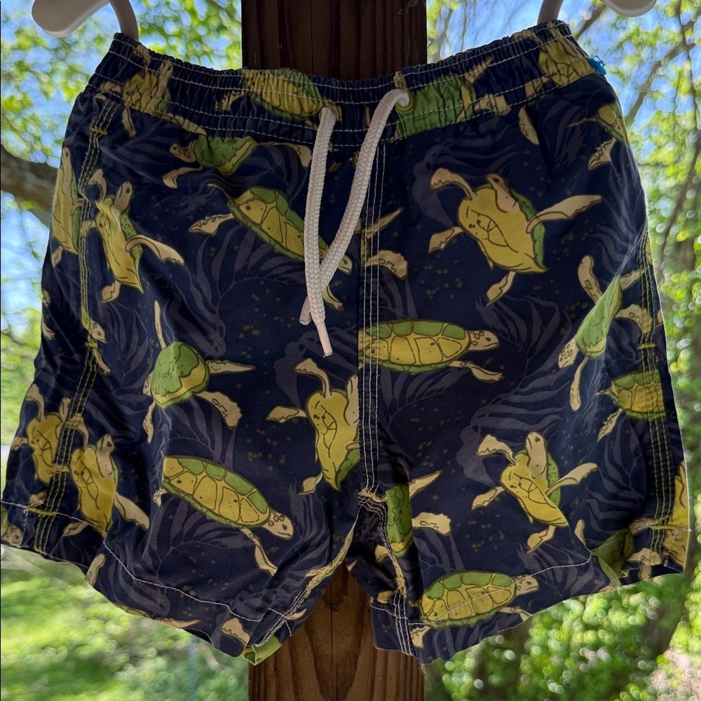 Baby Gap Toddler 3 Years Boy Turtle Print boys lined Swim Trunks